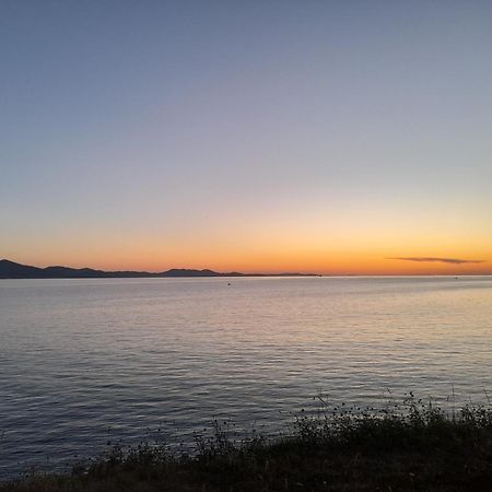 Jazine1 Daire Zadar Dış mekan fotoğraf