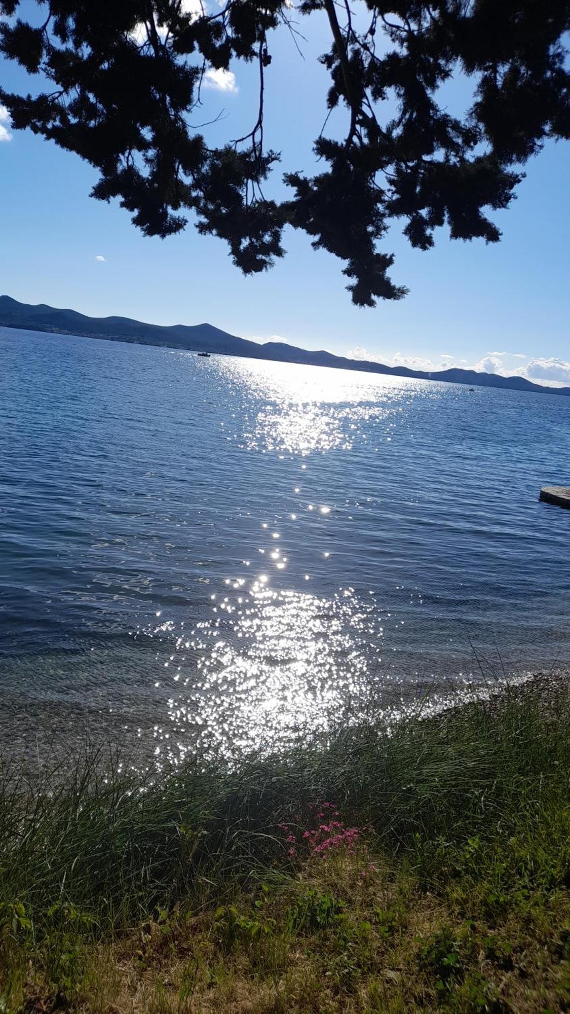 Jazine1 Daire Zadar Dış mekan fotoğraf