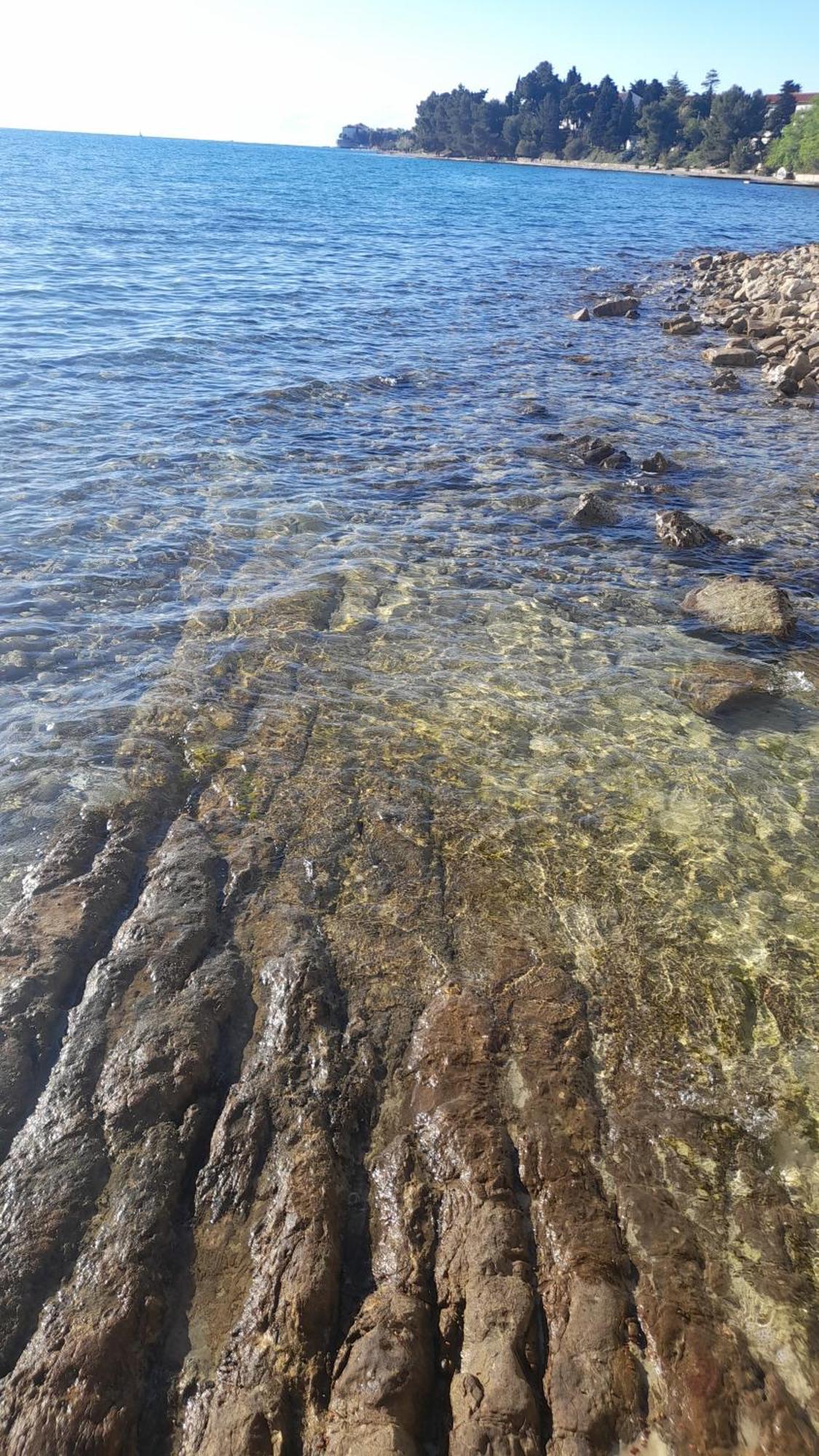 Jazine1 Daire Zadar Dış mekan fotoğraf