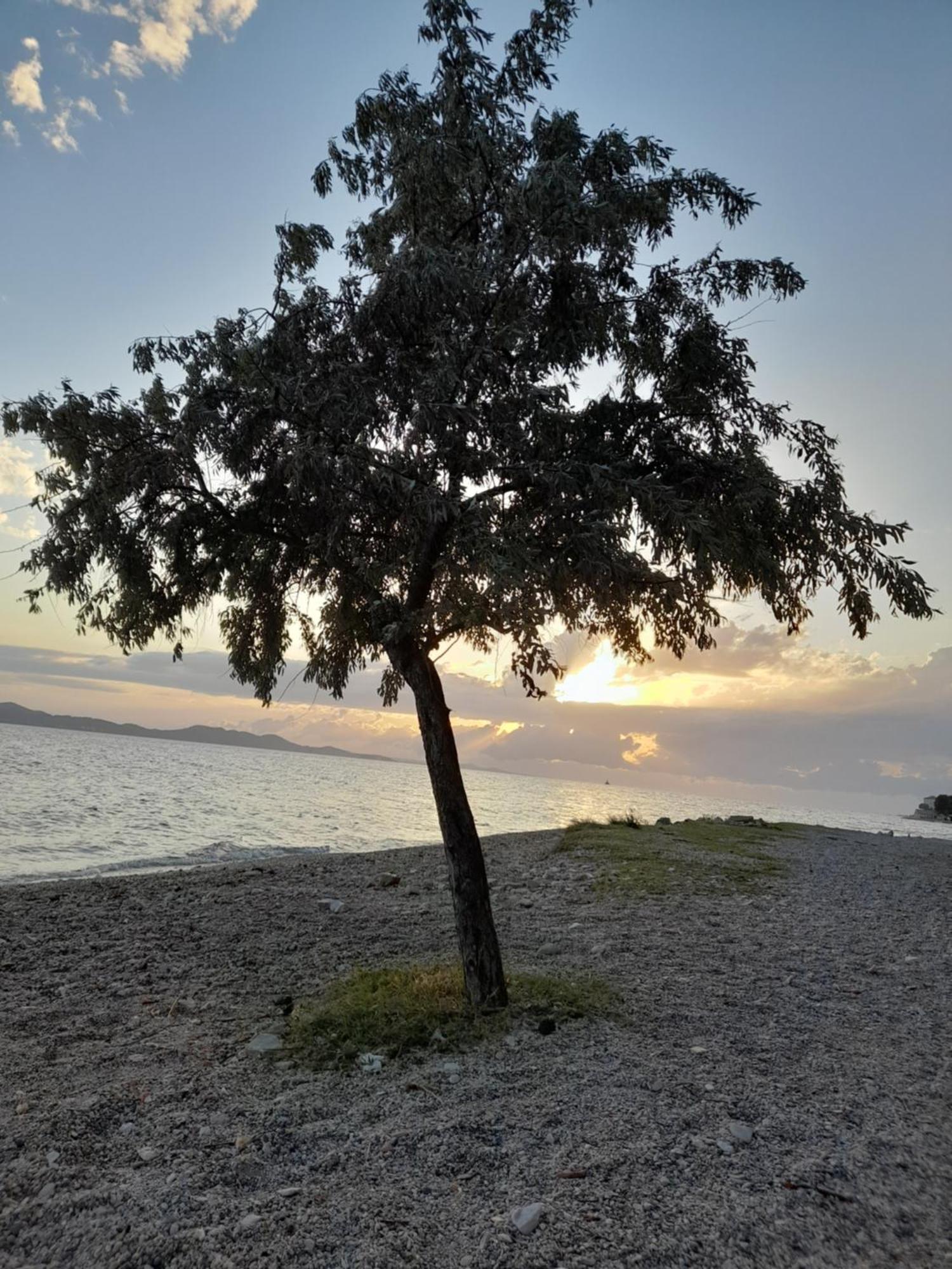 Jazine1 Daire Zadar Dış mekan fotoğraf