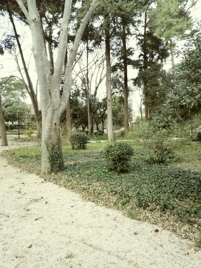 Jazine1 Daire Zadar Dış mekan fotoğraf